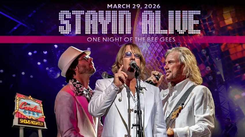 Stayin' Alive - Bee Gee's Tribute