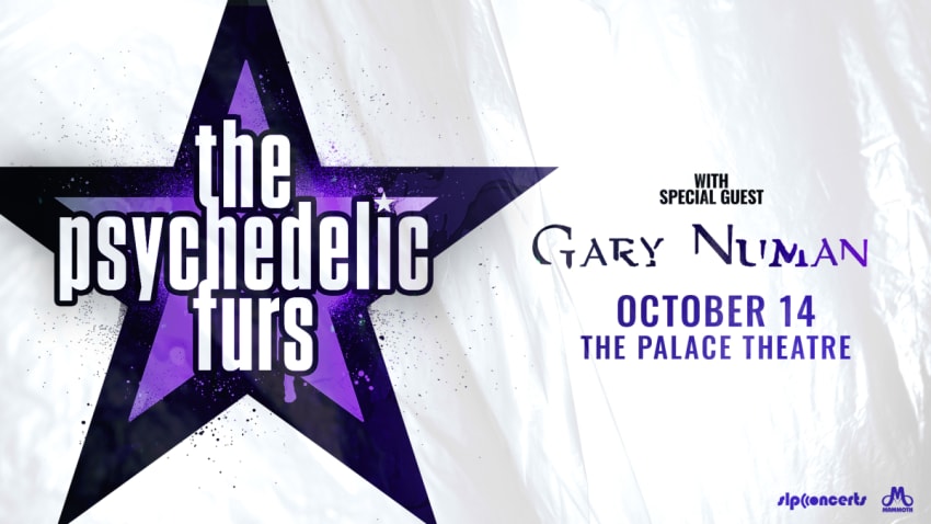 The Psychedelic Furs