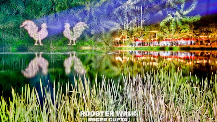 Rooster Walk Announces Initial 2026 Lineup Featuring moe., Daniel Donato & More