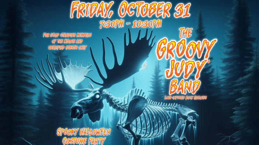 The Groovy Judy Band