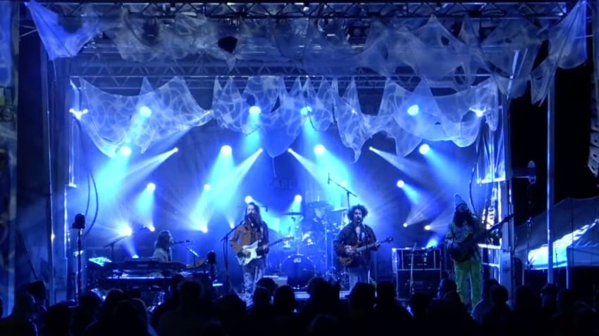 Dogs In A Pile Play 1970s-Themed Halloween Show In Georgia