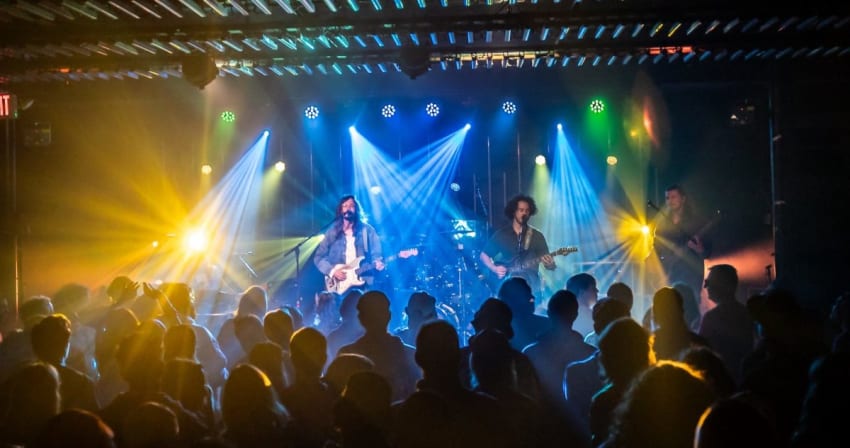 Dogs In A Pile Michigan 2025