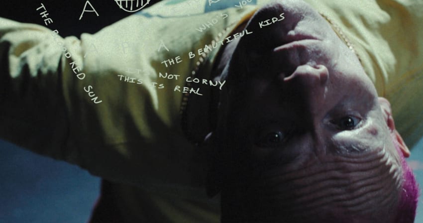 Flea A Plea Single Cover Crop