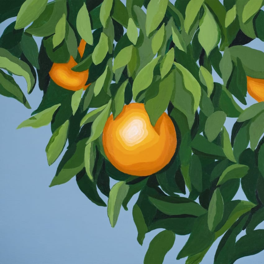 For The First Time Again