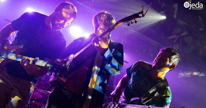 Spafford Tall Tall Tress Milwaukee 2025