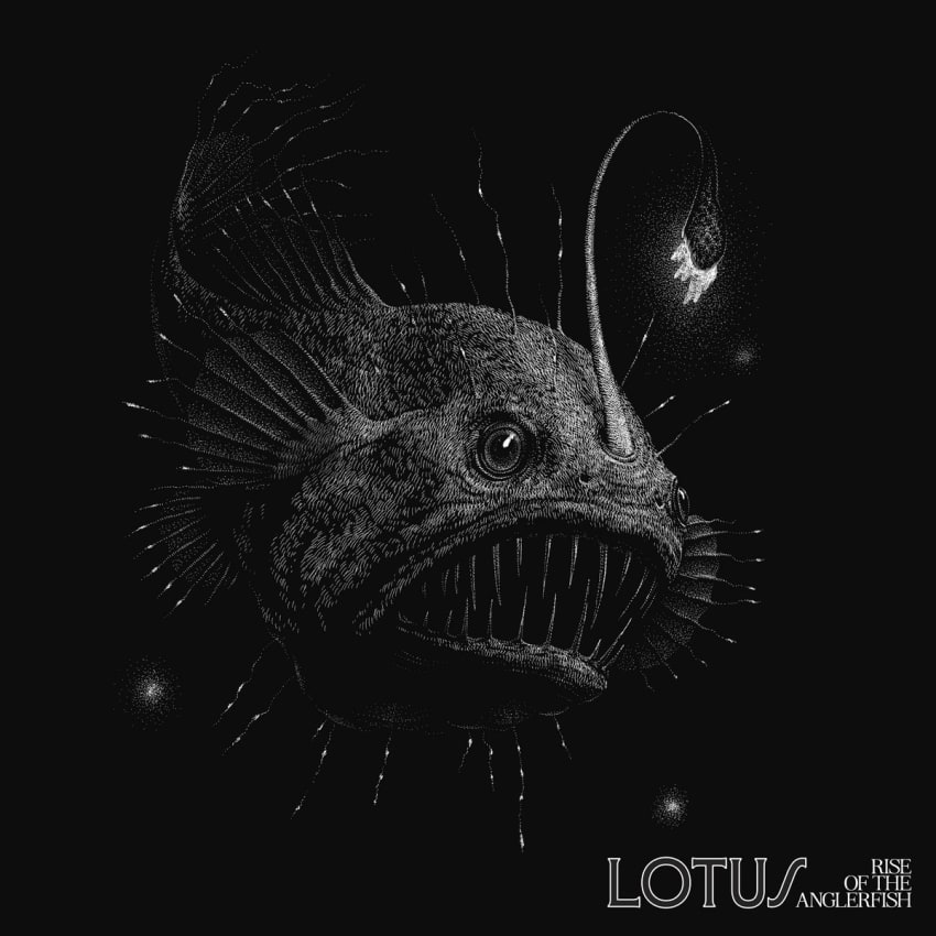Rise of the Anglerfish