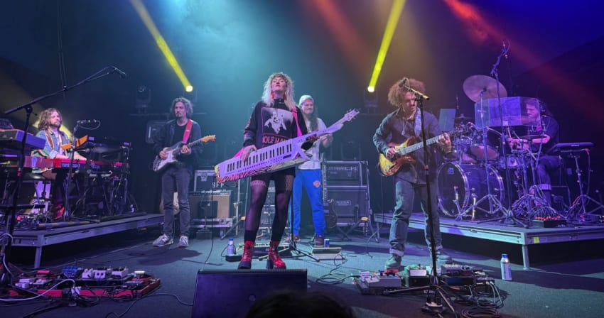 Dogs In A Pile Natalie Brooke Funky Bitch