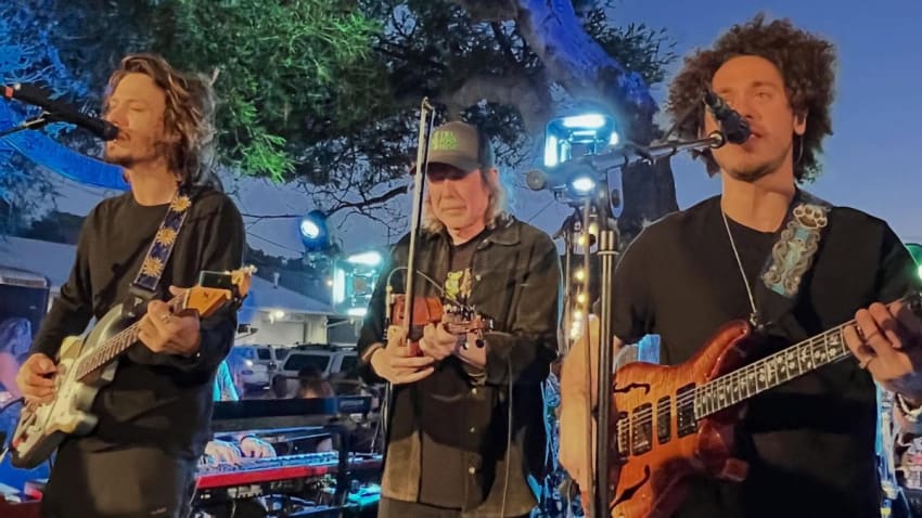 Jason Crosby Drops In On Dogs In A Pile In Mill Valley