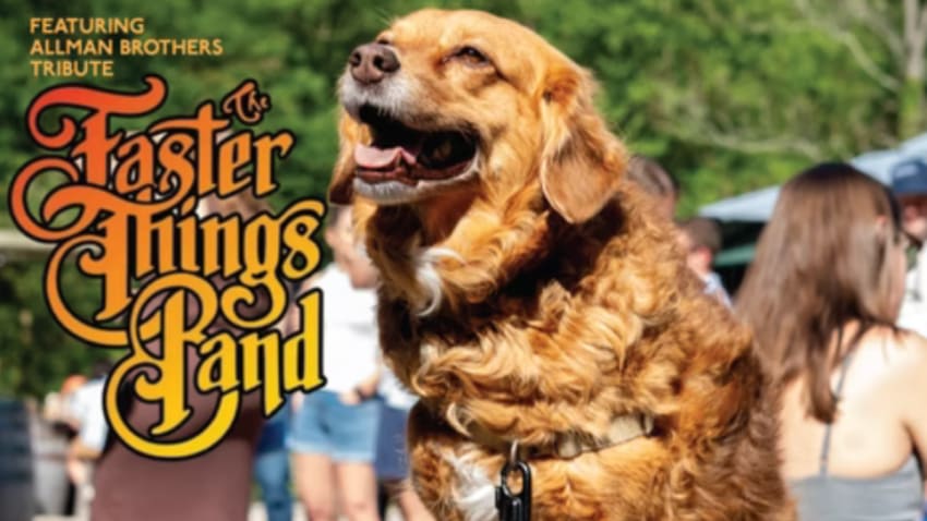 Faster Things - Allman Brothers Tribute