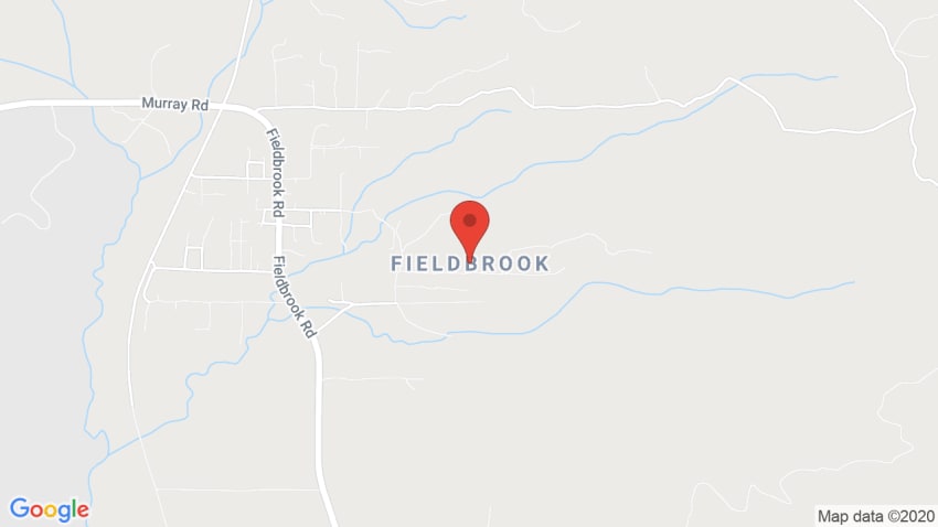 Fieldbrook Family Market