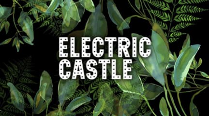 Electric Castle 2019 Lineup Jul 17 21 2019