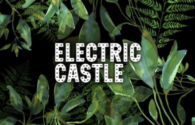 Electric Castle About
