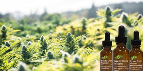 Save 50% + $5 On Premium Full-Spectrum CBD From Boulder Creek ...