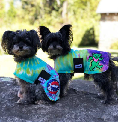 Grateful dead dog harness top