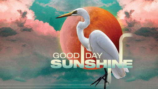 Good day sunshine festival top