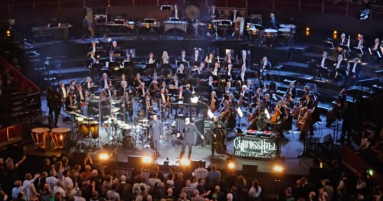 Cypress Hill Tour 2025 Image