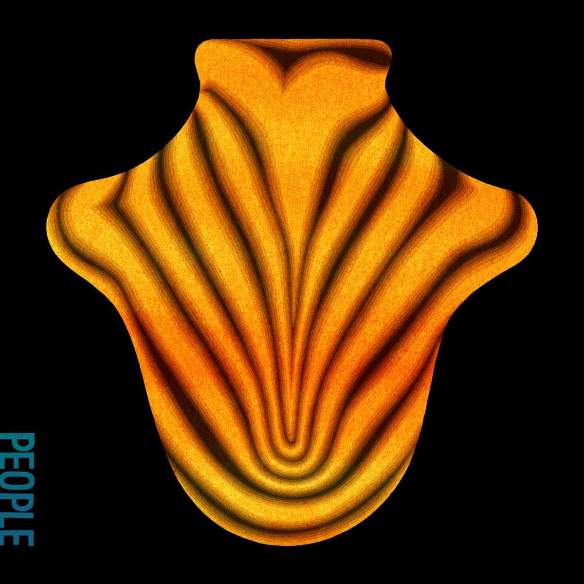 Justin Vernon And Aaron Dessner's New Band, Big Red Machine, Announces  Debut Album : NPR