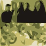 My Morning Jacket & Lucius Press Image