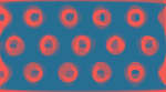 Fishman Dress Pattern Swatch