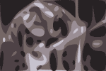 Guitarfish 3