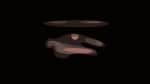 Stevie Wonder Songs In The Key Of Life Tour