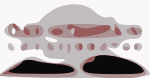 Oak Mountain Logo