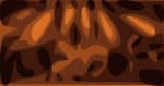 Joe Russo's Almost Dead J Williams Crop 2