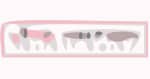 Live Nation Logo Crop