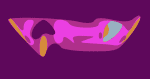 Syd Barrett Website Crop