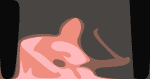 UM 2001 Doc Crop