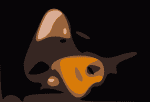 David Crosby Napa Sterling Munksgard