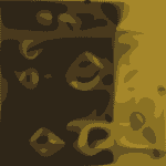 Magnetic Seasons Cover