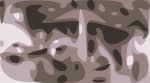 steveseagulls screenshot