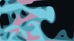 Aqueous To Release Cycles On October 21