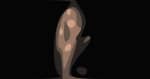 Sunday Cinema | Grace Potter Going Solo