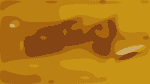 Hardly Strictly Bluegrass 2013 Lineup Revealed