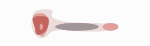 Technology Jam | Braven BRV-1 Wireless Speaker