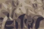 Kral & Jolliff Aboard For Yonder Mountain String Band 2015