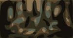 Widespread Panic Andy Tenille Crop