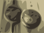phindiana coins
