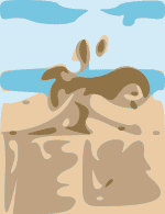 summerpig16 admat