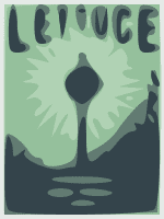 lettucenye17 admat