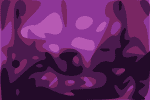 IMR_6311