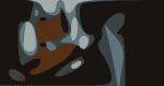 Oberst Ruminations Crop