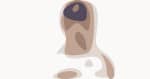 griz-press-crop-2