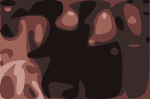 snlfred