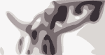 vulfpeck-rawn-crop-4