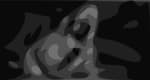chris-robinson-rawn-crop-crb