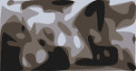 infamous-stringdusters-bruss-crop-3
