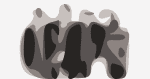 phoenix-press-crop-1